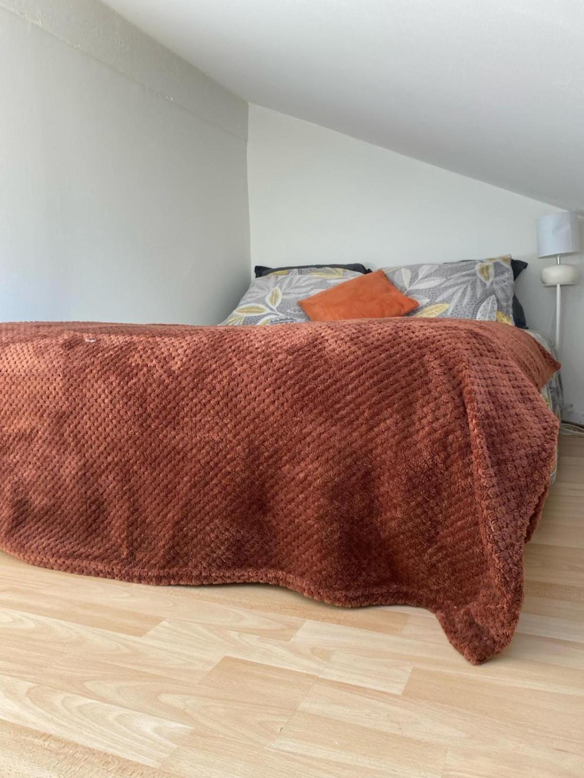 Petit Nid Cosy - Proche Des Ecoles Et Entreprises Orsay Exterior foto